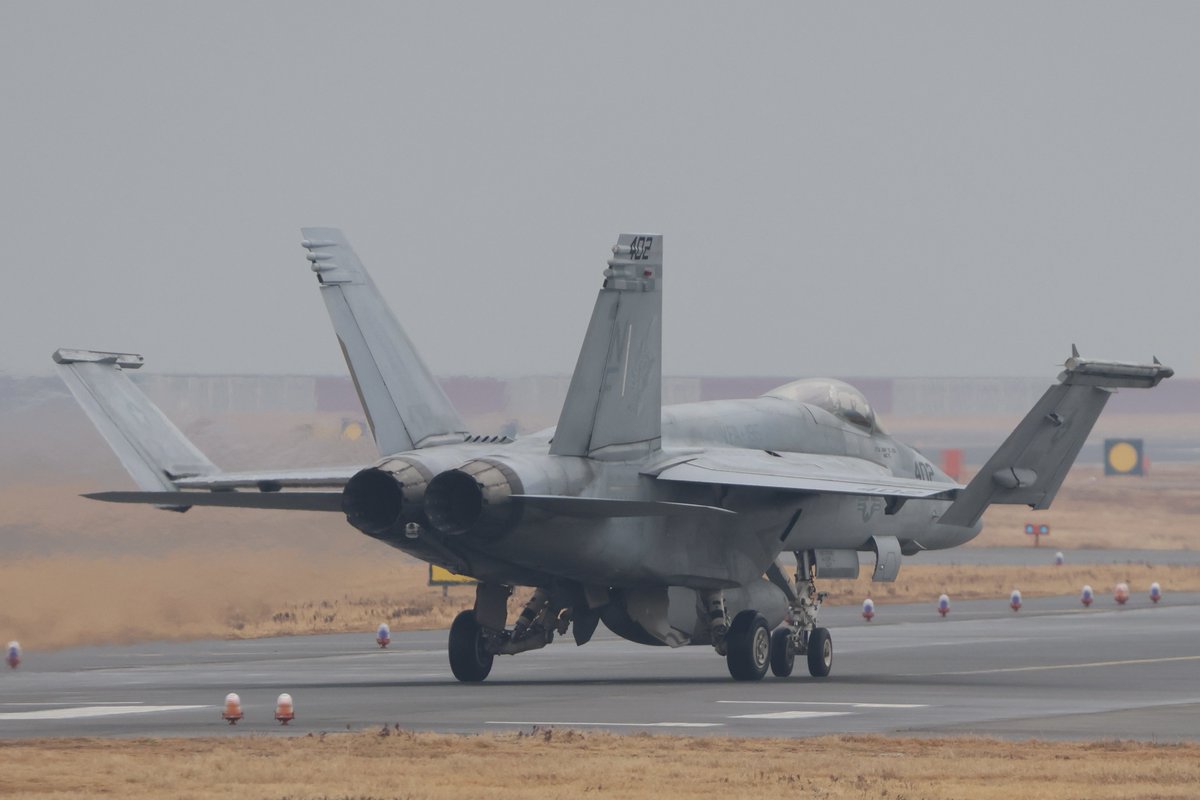 ʅ(    ᷄ω  ᷅ )ʃ