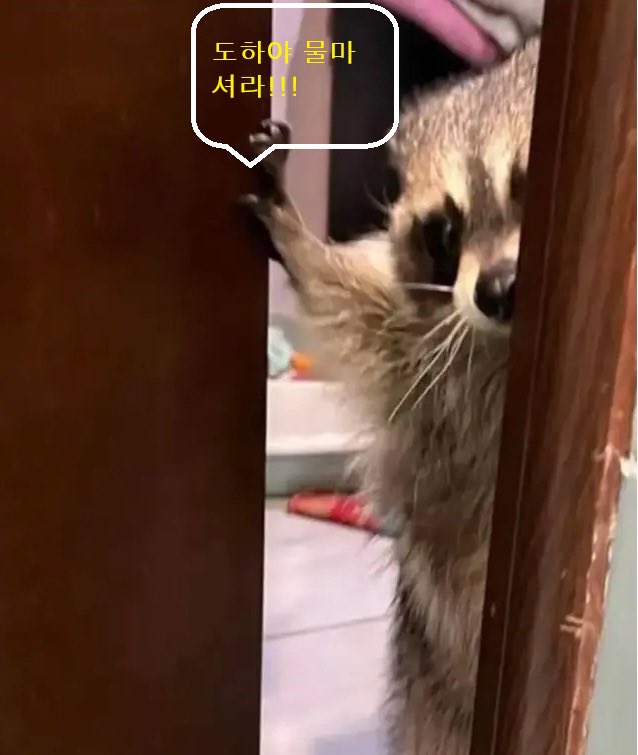 수빈 (@soovinnnn) on Twitter photo 