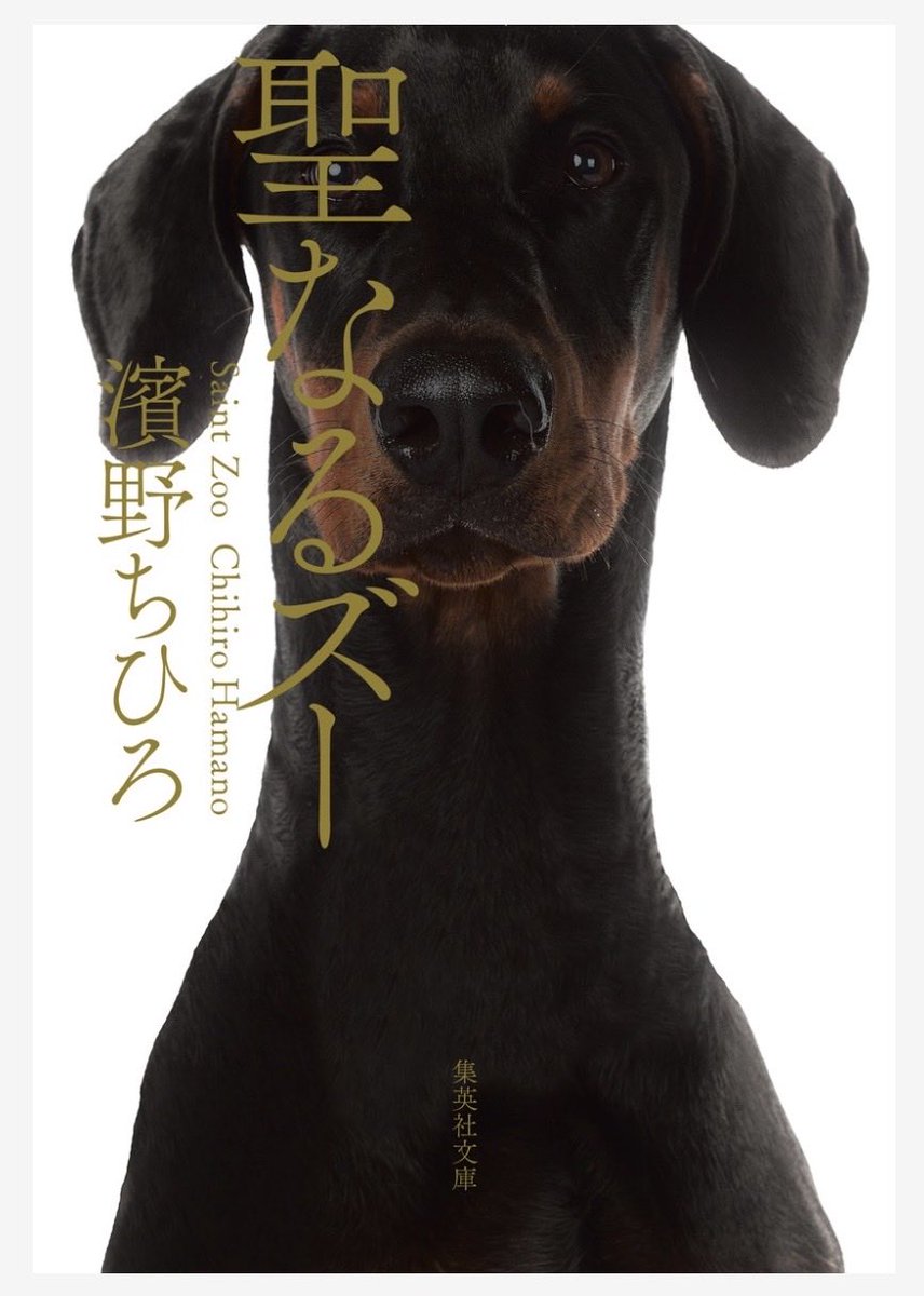 hikari_no_hondana tweet media