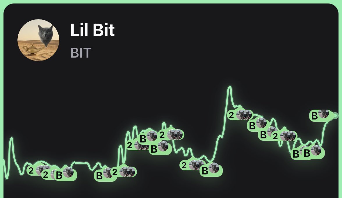 GunnA (Based CTO) tweet media