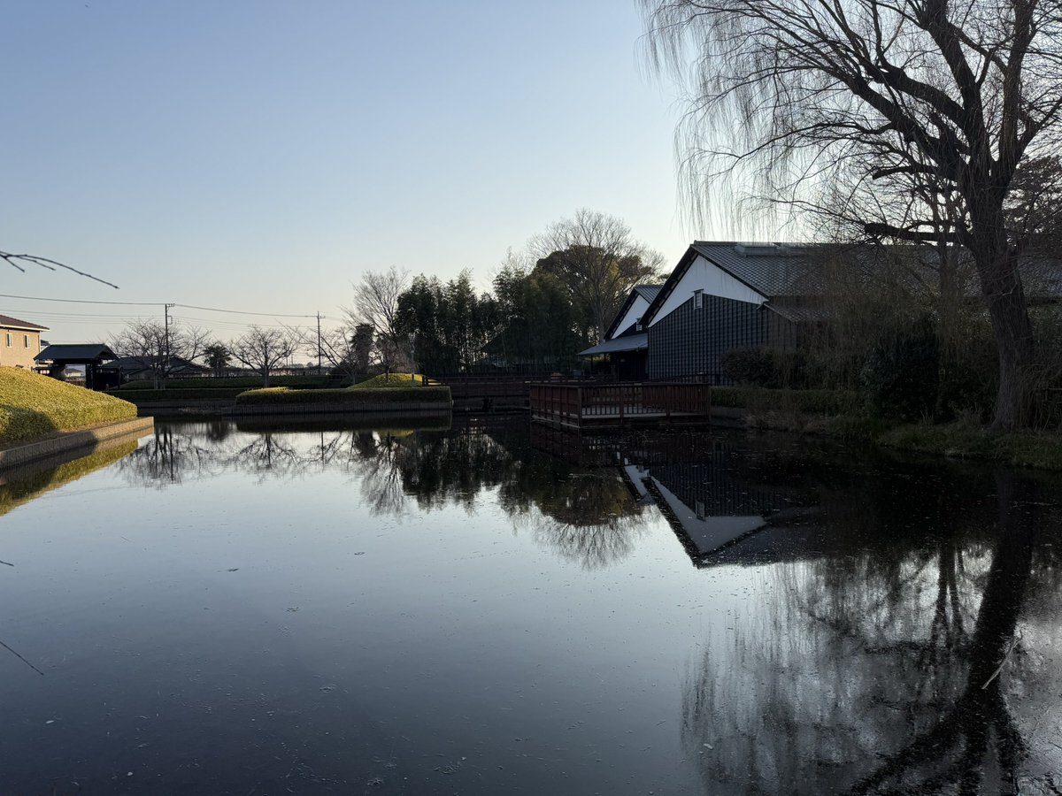 Add_Shane's tweet image. 久々に、準地元の埼玉県富士見市内にある難波田城公園へ。
一足早い(?)春を見つけた。

#難波田城公園 #富士見市