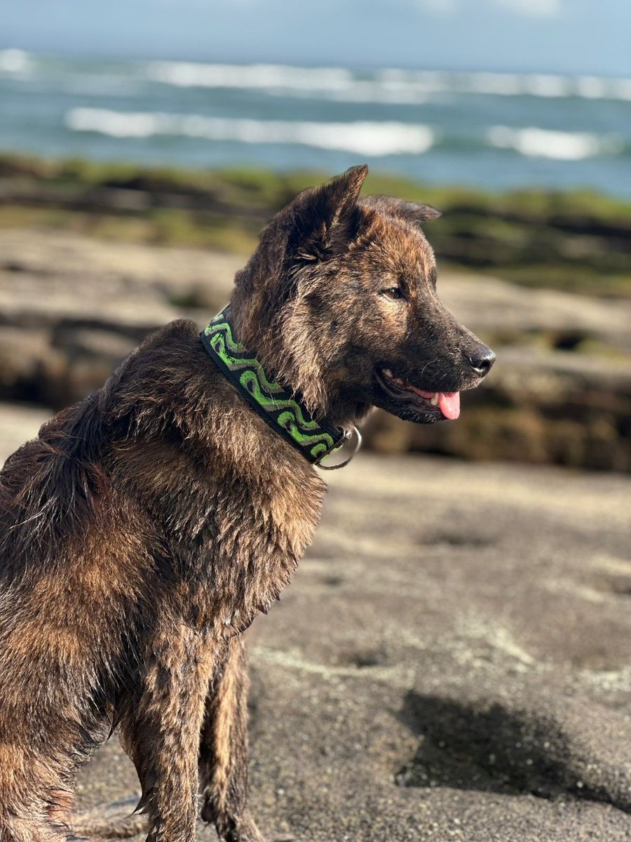 Bali Base - MENFESS? DM tweet media