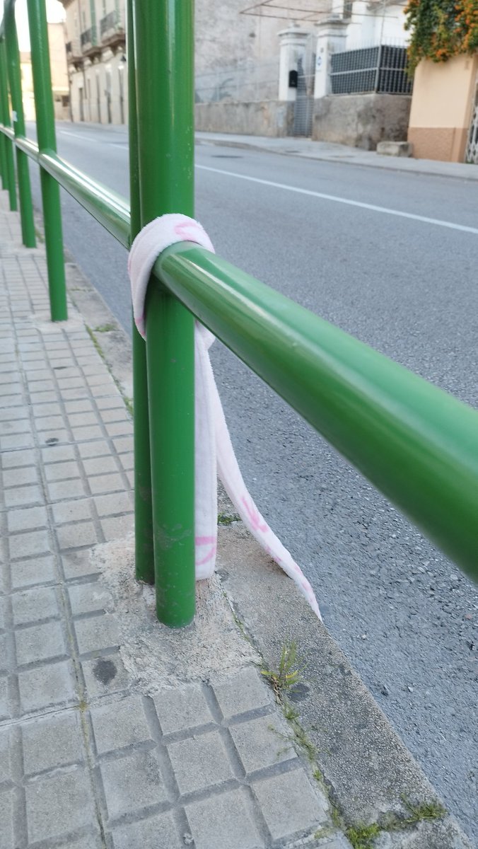 Cisne Negro 🏴‍☠️ tweet media