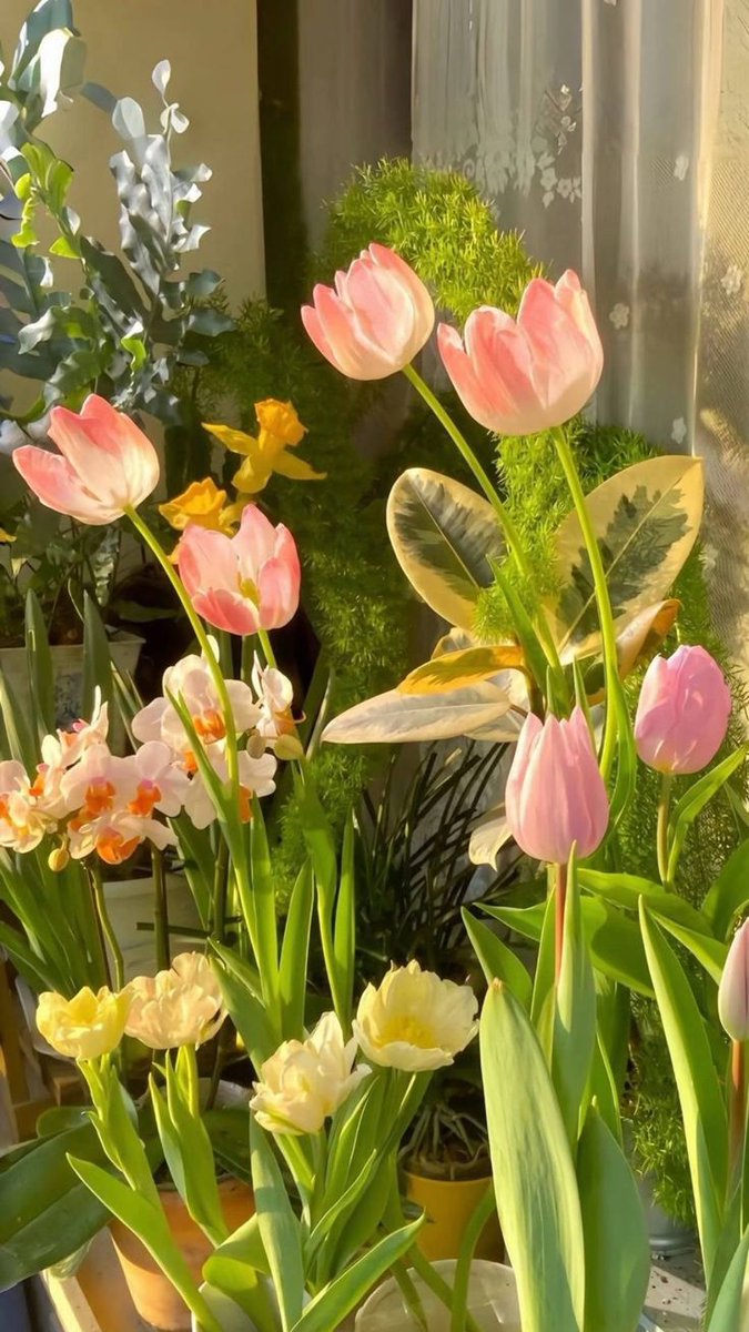 World Click (@worldclick56) on Twitter photo 