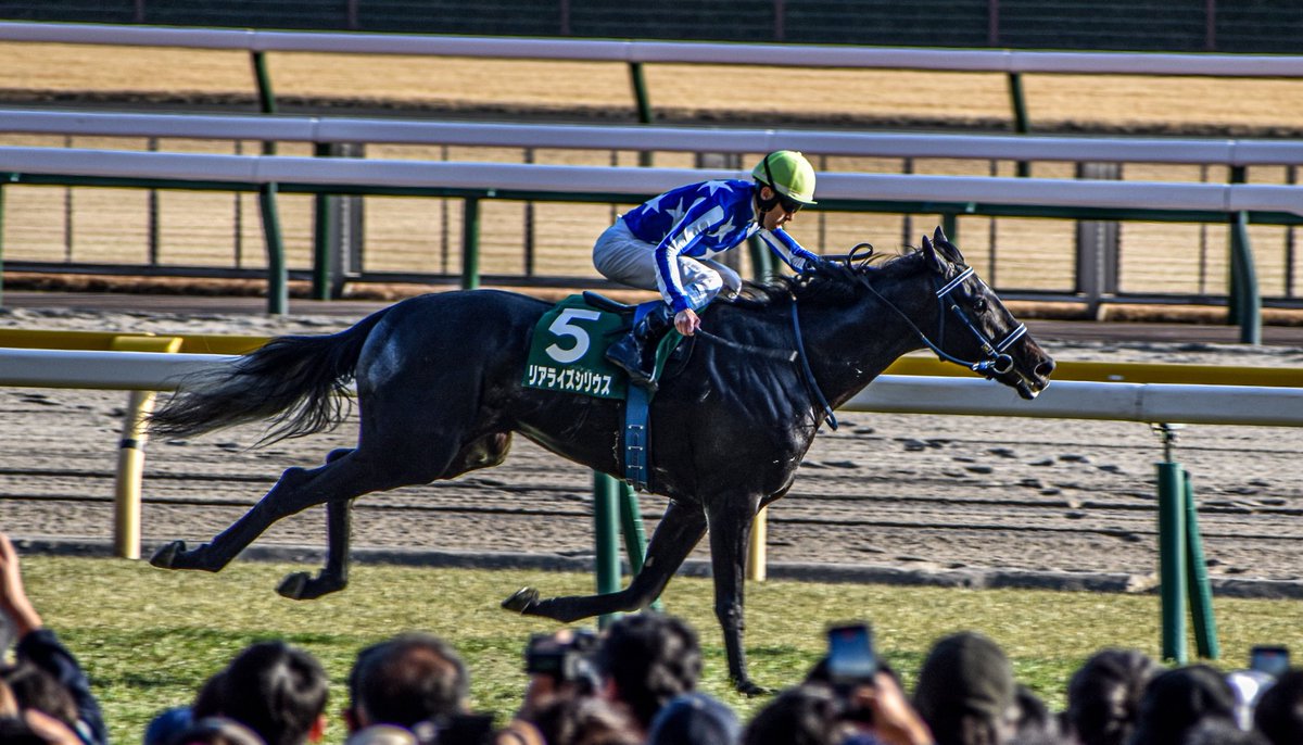 Kyodo News Hai Tokino Minoru Kinen (G3, 3yo, 1800m)
🥇 REALIZE SIRIUS (Poetic Flare × Red Mirabel (Stay Gold))

He looked much better balanced front to back than before

📷kontena