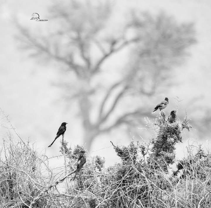 پرہیز کر،پھر اپنی روح کی طاقت دیکھ  .