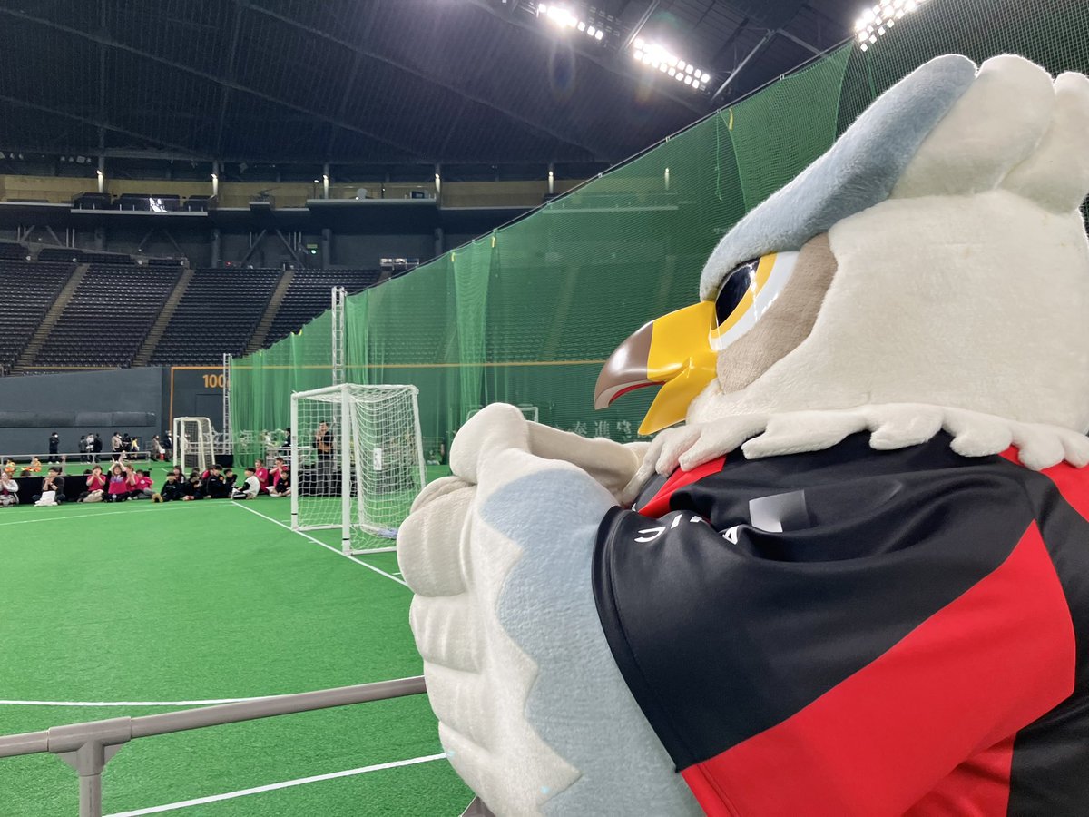 ドーレくん☆ tweet media