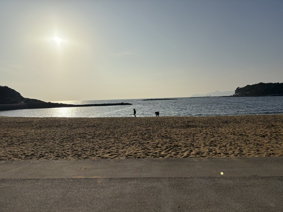 今日は気持ちの良い気温でした