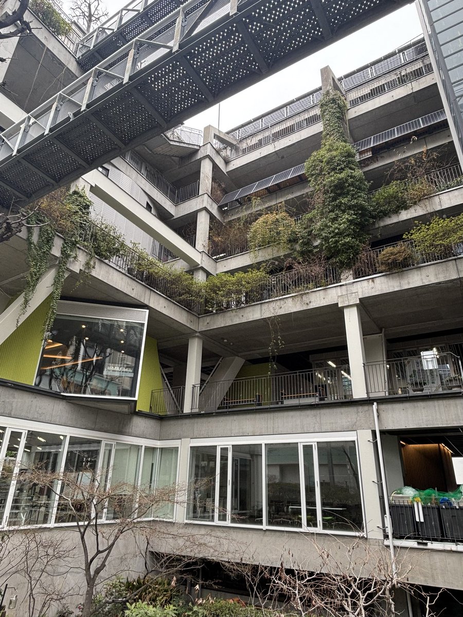 石津智大 Tomohiro Ishizu tweet media