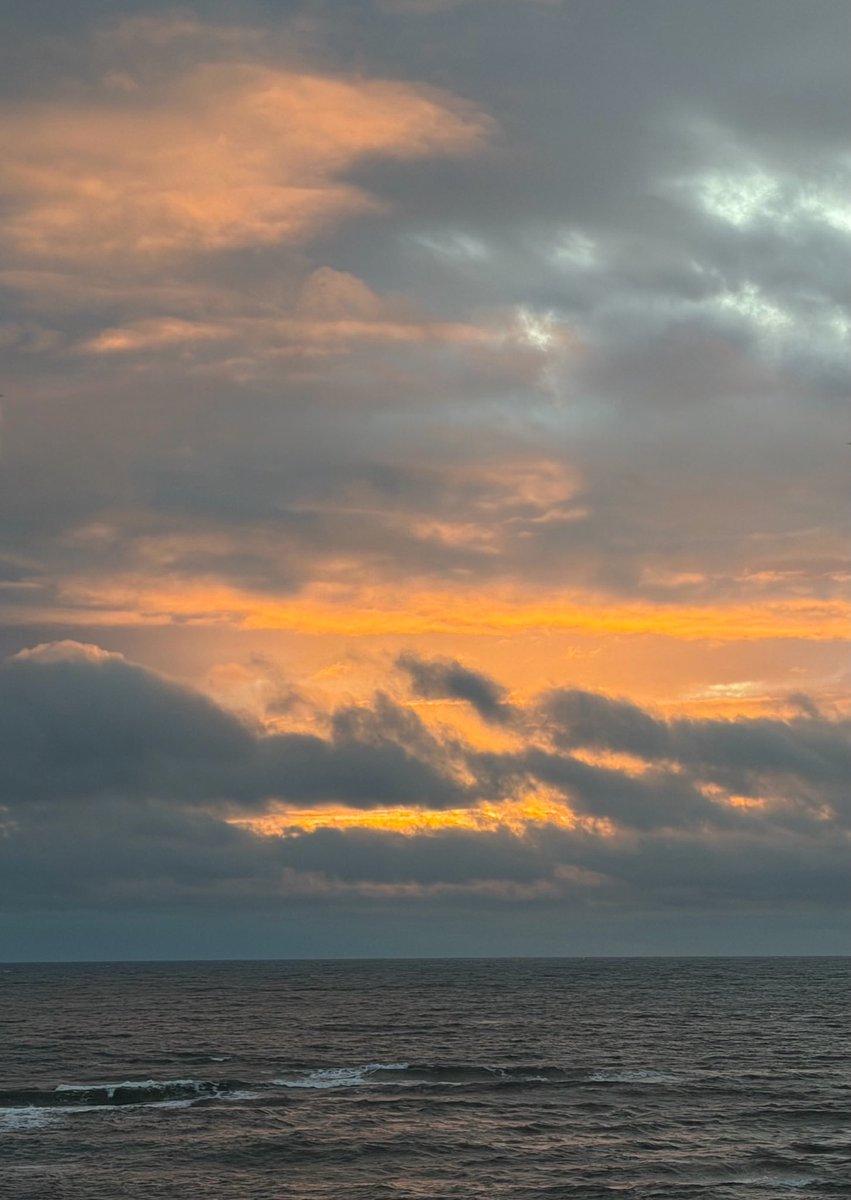 SeaWindowCraster tweet media