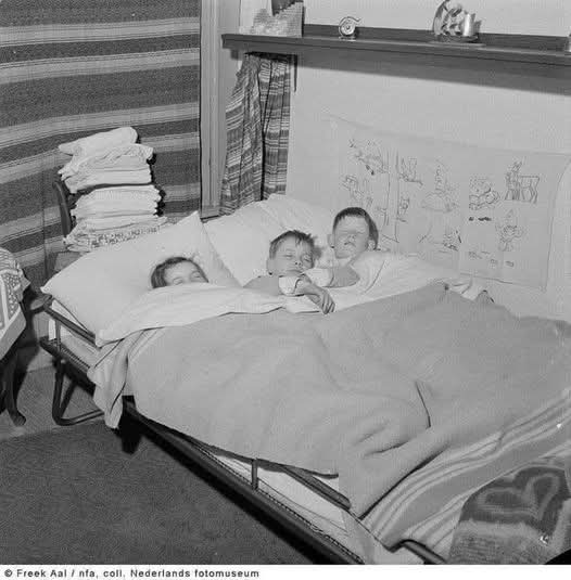 Swiebertje Pan tweet media