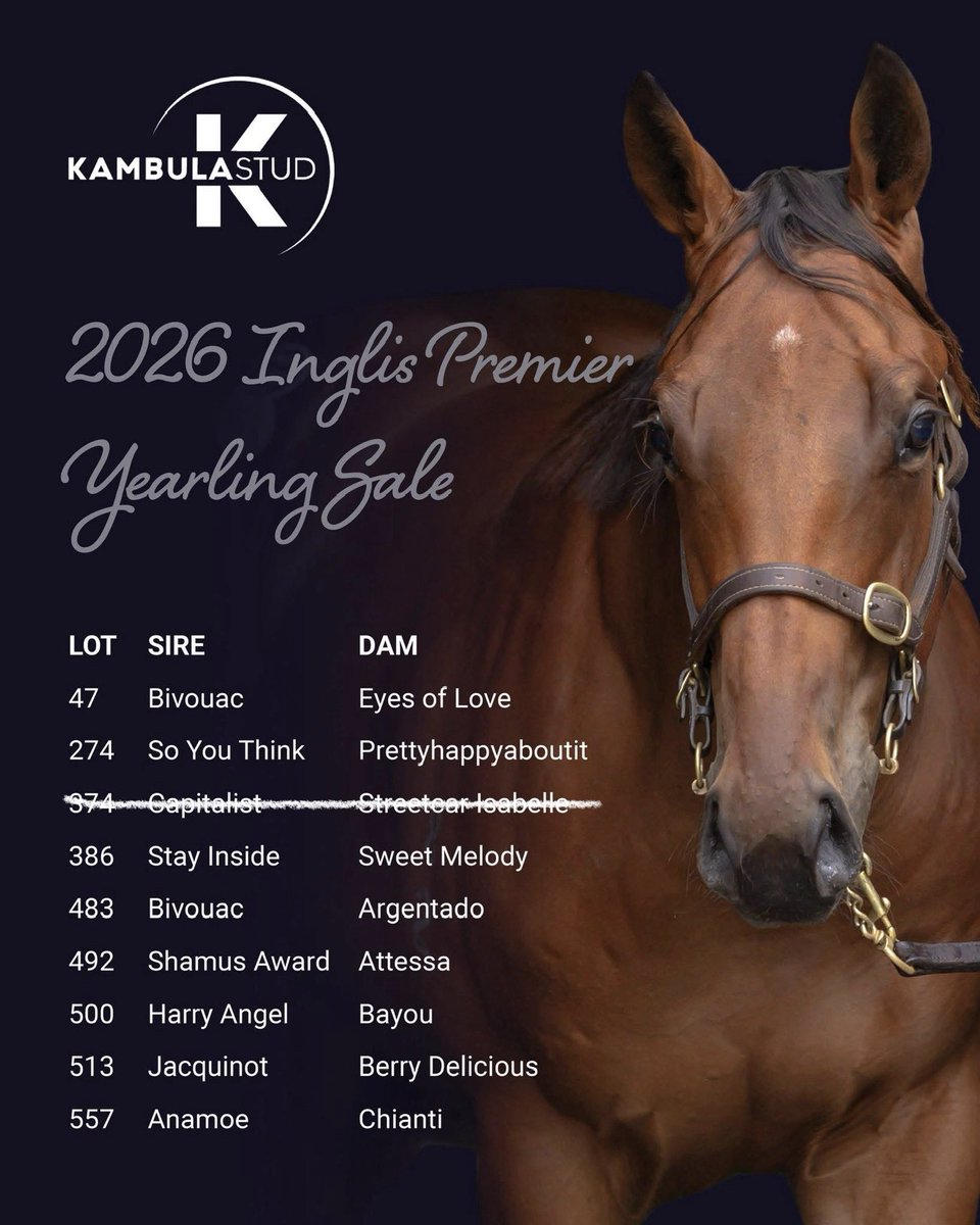 Kambula Stud tweet media