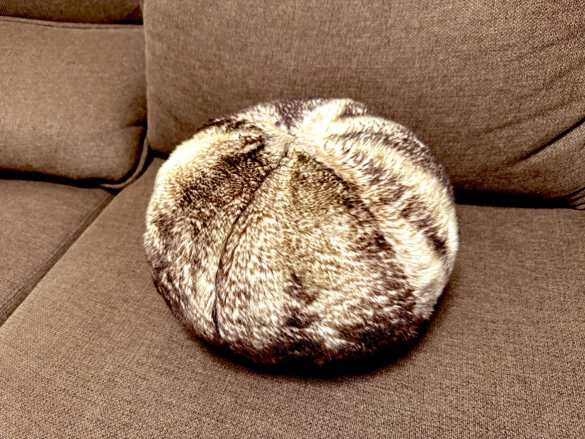 夏鈴糖 tweet media