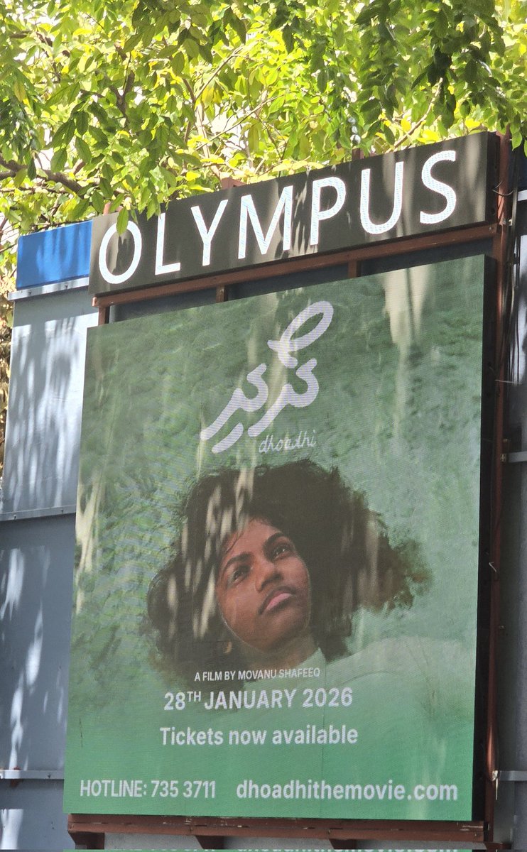 Fahi Flat tweet media