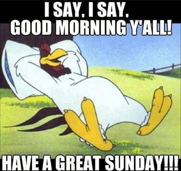 Steve Whittle (@stevewhittlefl) on Twitter photo 