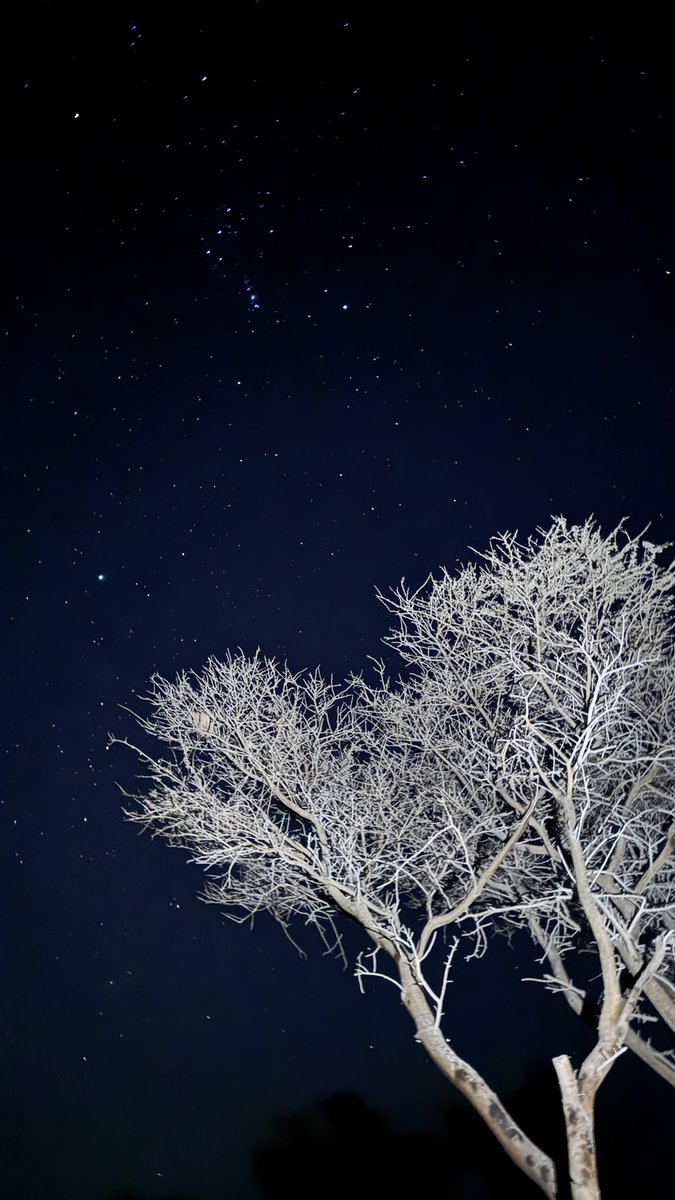 des_A6's tweet photo. 13 February 🌌🐪. https://t.co/EWYHO4FG0B