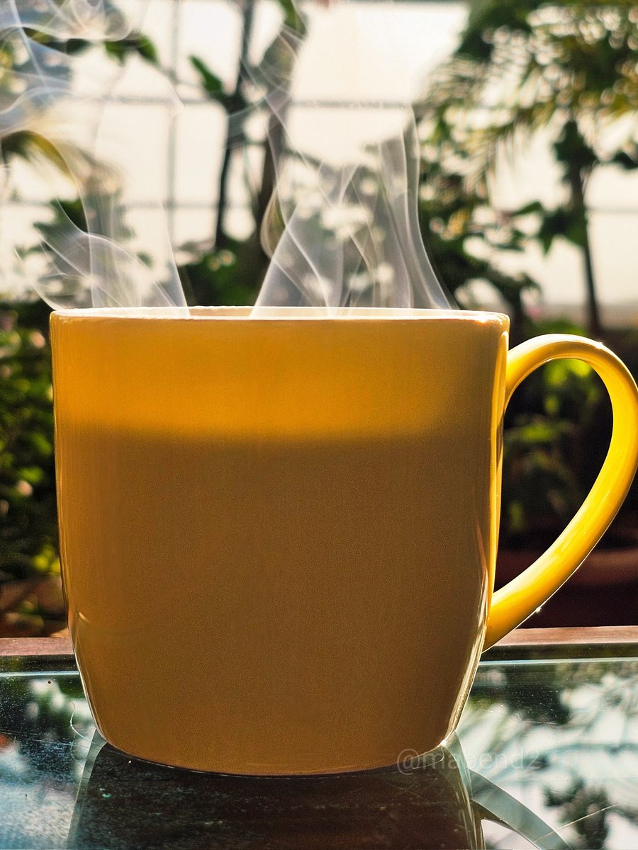 mabend2's tweet photo. Let’s see some 💛 for Sunday Yellow!
#theme_pic_India_chai https://t.co/X3ufcs27I0