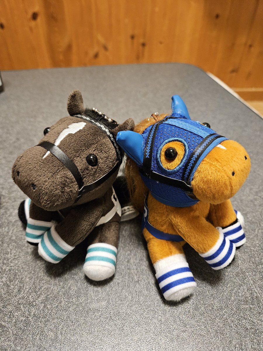 アイドルホースのウオッカとスカーレット、なんでSサイズしかお迎えし