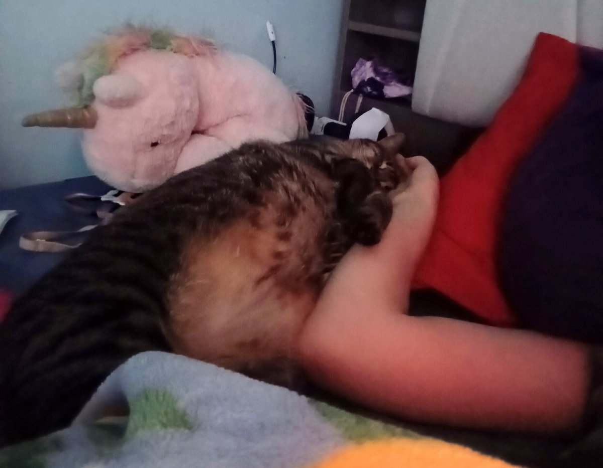 So I experienced a lot of things this morning. I woke up a lot so no long deep sleep. Woke up and my shadow on the wall looked kind of like blue diamond, that was cool. Woke up and the stuff on my desk collided into a shadow of a cool anime wamen, that was cool. I looked outside