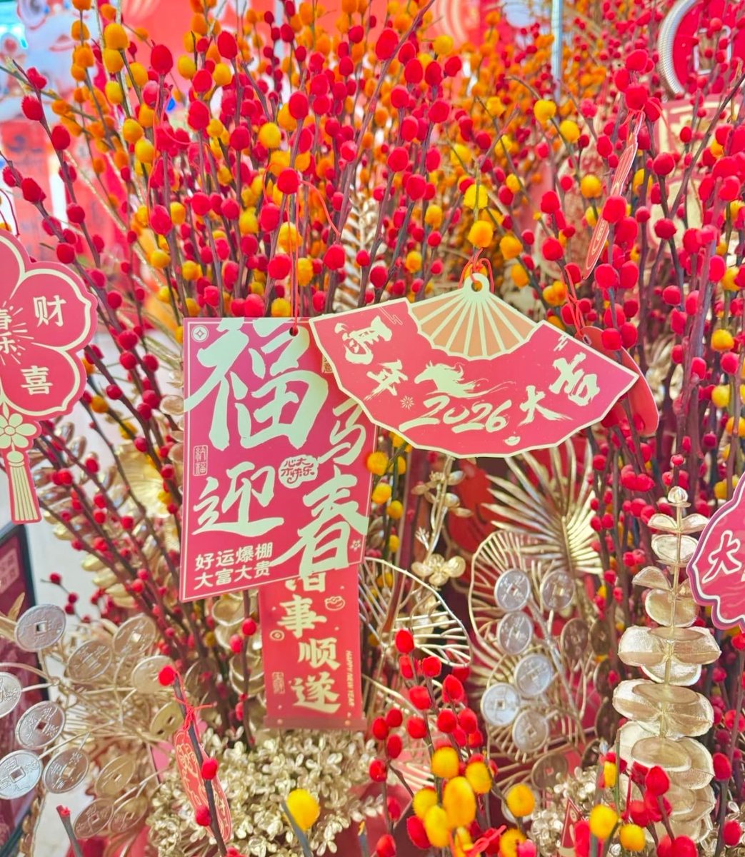 Happy Chinese New Year!
#chinatravel #ChineseNewYear2026