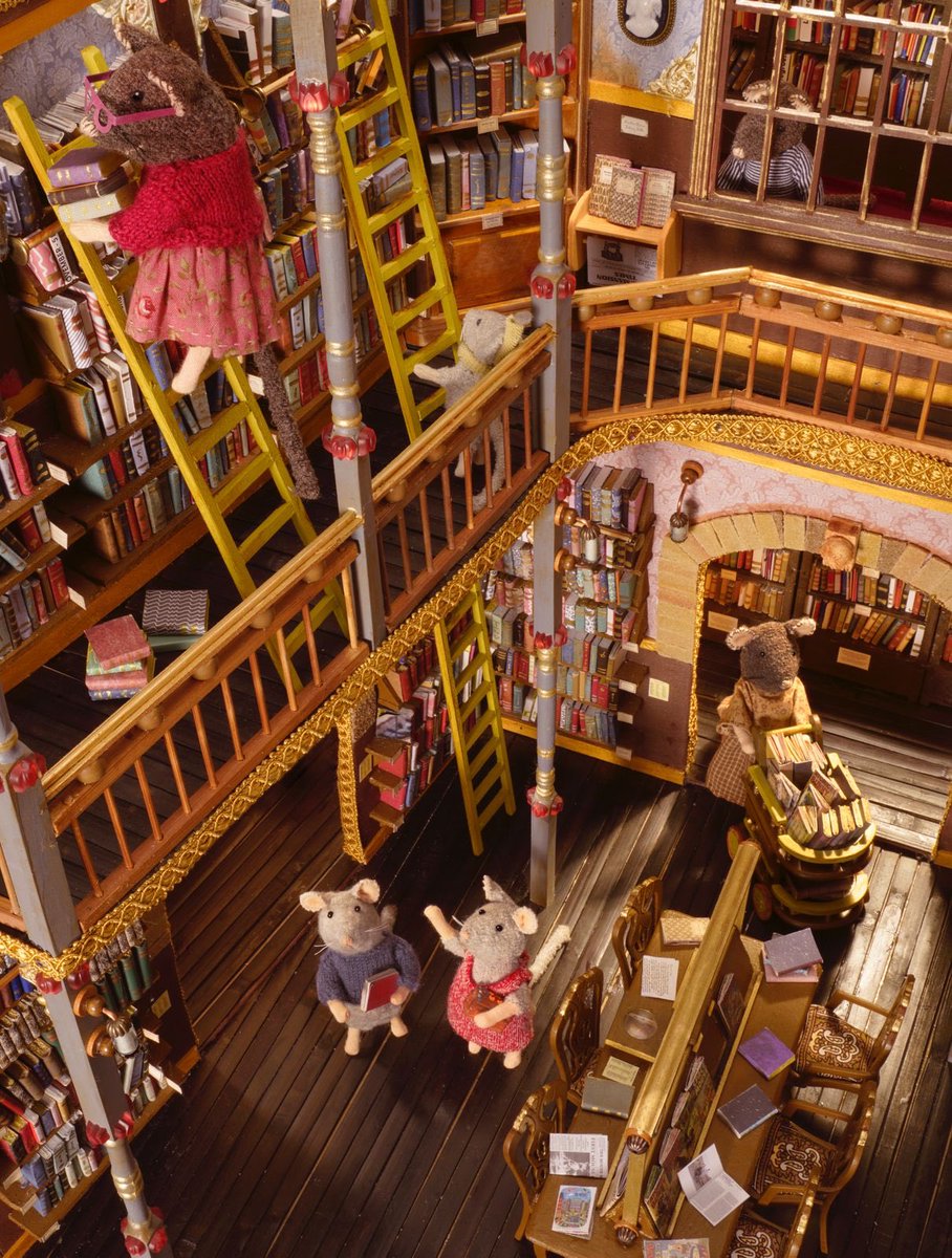 Karina schaapman tweet media