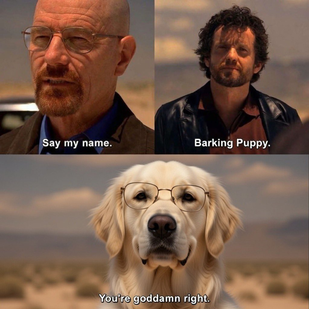 Become undeniable ! $BP