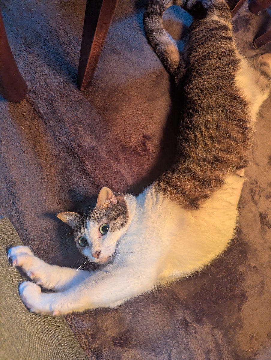 やっぱちょっと痩せたね