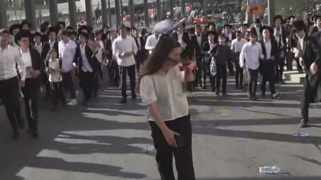 Moon Flight 🦉 🕊 ☕ tweet media