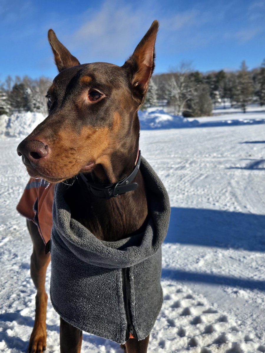 Ashley Binkle tweet media