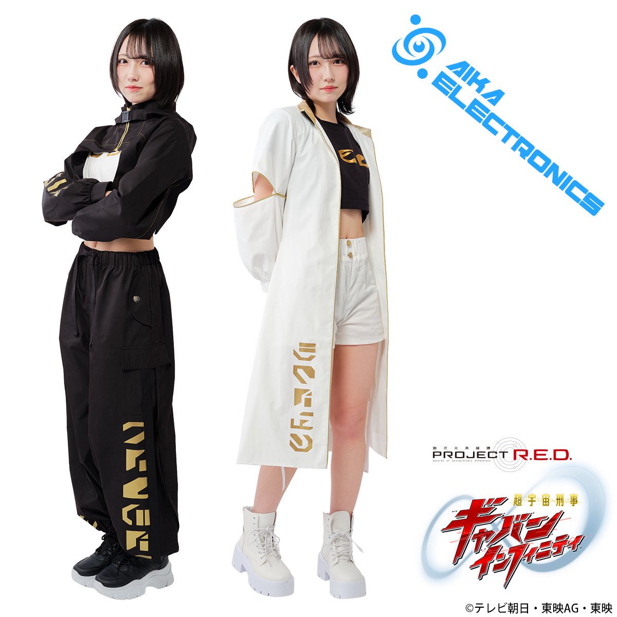 アイカjp(あっち先生)@AIKA ELECTRONICS (@achimobee) / Posts / X