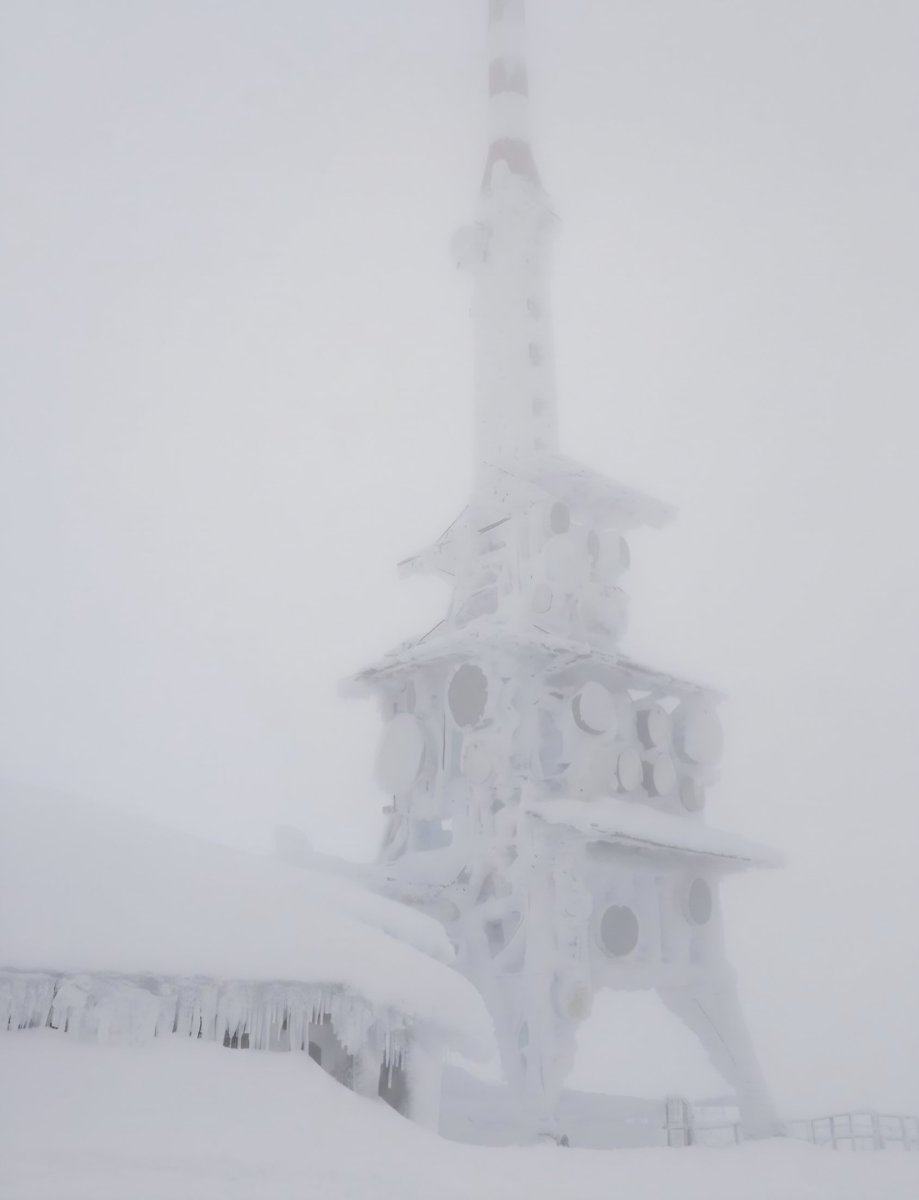 Meinrad Spenger tweet media