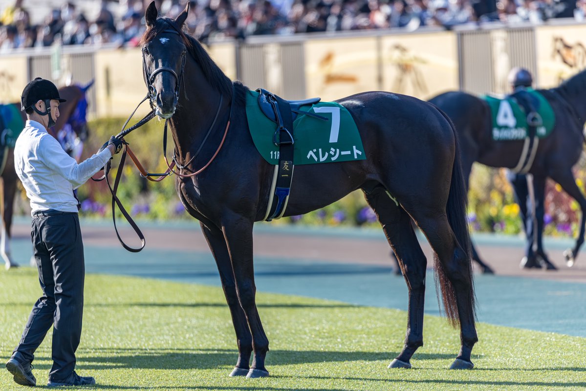 くろもも (@kuroromomota) / Posts / X