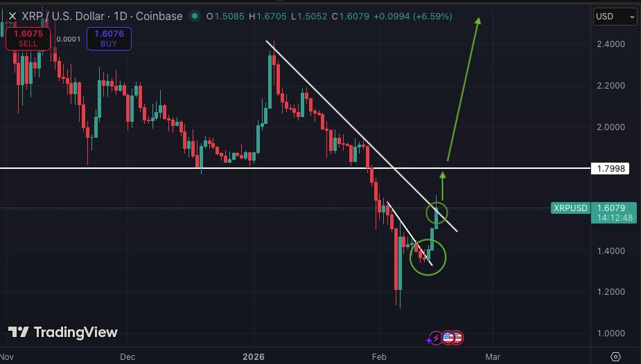 Hailey LUNC XRP tweet media
