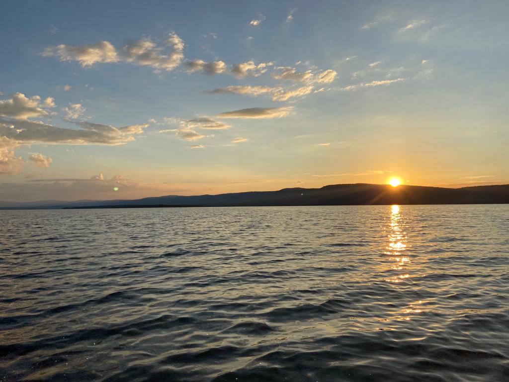 HezaTour's tweet photo. Discover the untamed beauty of Rwanda!

Meet the majestic elephants of Akagera National Park and experience the thrill of Rwanda’s incredible wildlife safari with us.

Let nature be your guide as you embark on an unforgettable adventure. 

Book your safari with @HezaTour https://t.co/0ZbSAWnh3q