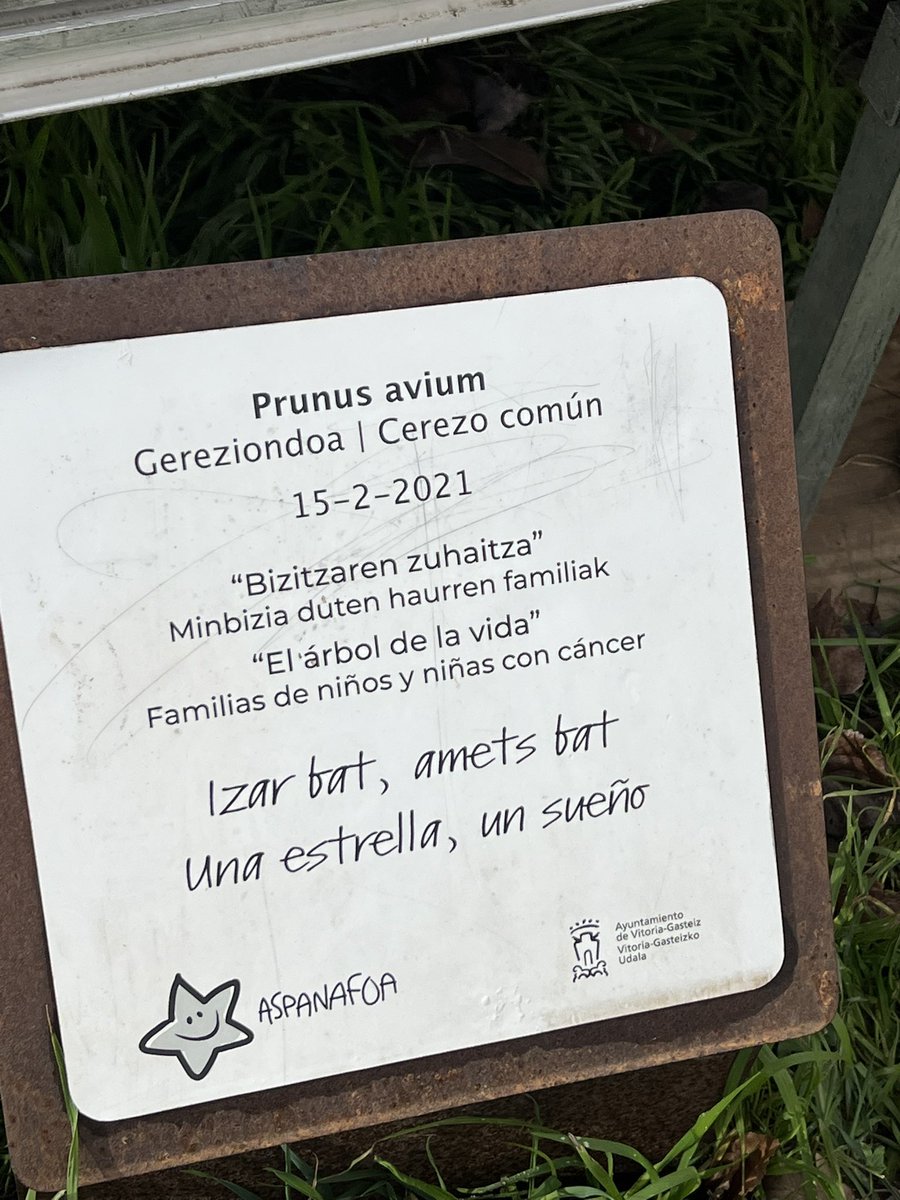 Hoy con ASPANOFOA en la lectura del manifiesto frente al Árbol de la Vida, en San Martín. 💛

En el Día Internacional contra el Cáncer Infantil, recordamos que detrás de cada cifra hay niñas, niños y familias que necesitan más investigación, más recursos y todo nuestro apoyo.