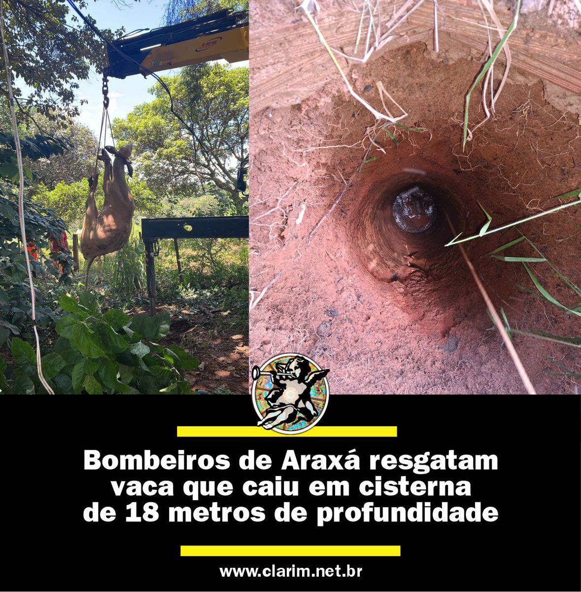 🚒 Bombeiros de Araxá resgatam vaca que caiu em cisterna ➡ clarim.net.br/bombeiros-de-a…