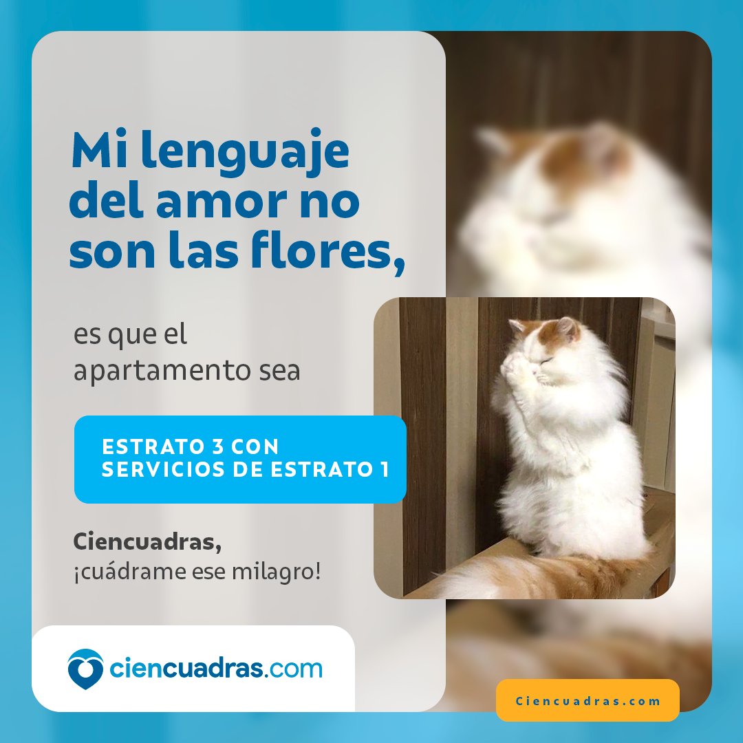 Como sabemos que ese tesoro es difícil de encontrar, en Ciencuadras te ayudamos a buscar el que más se le acerque. ¡Entra y busca el tuyo! 🏠💙 bit.ly/3Od7qSs
