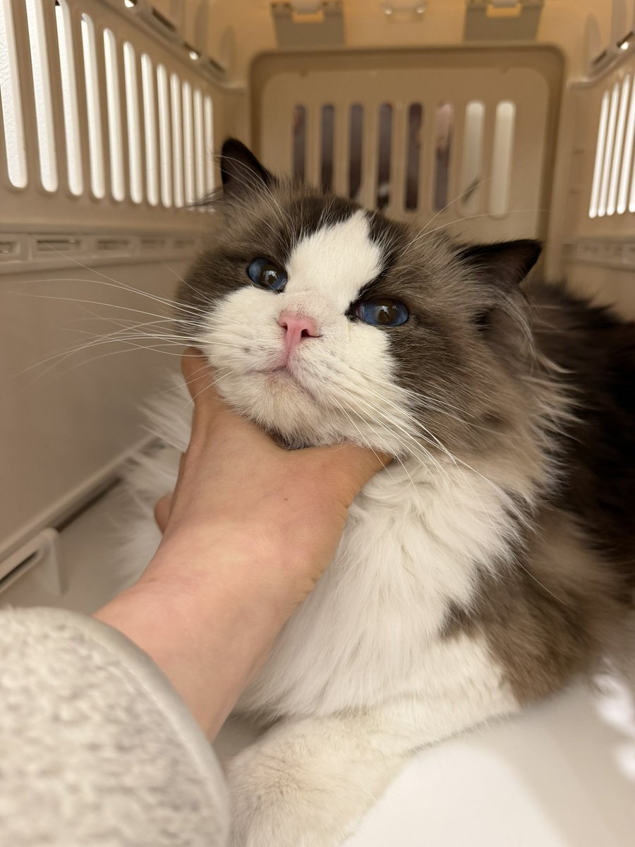 느리지만 이루는 자 tweet media