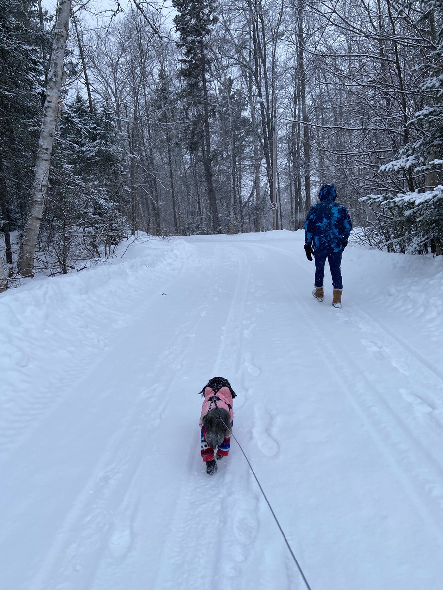 Happy Sunday from Cedar,
We found fox tracks and bunny tracks this morning