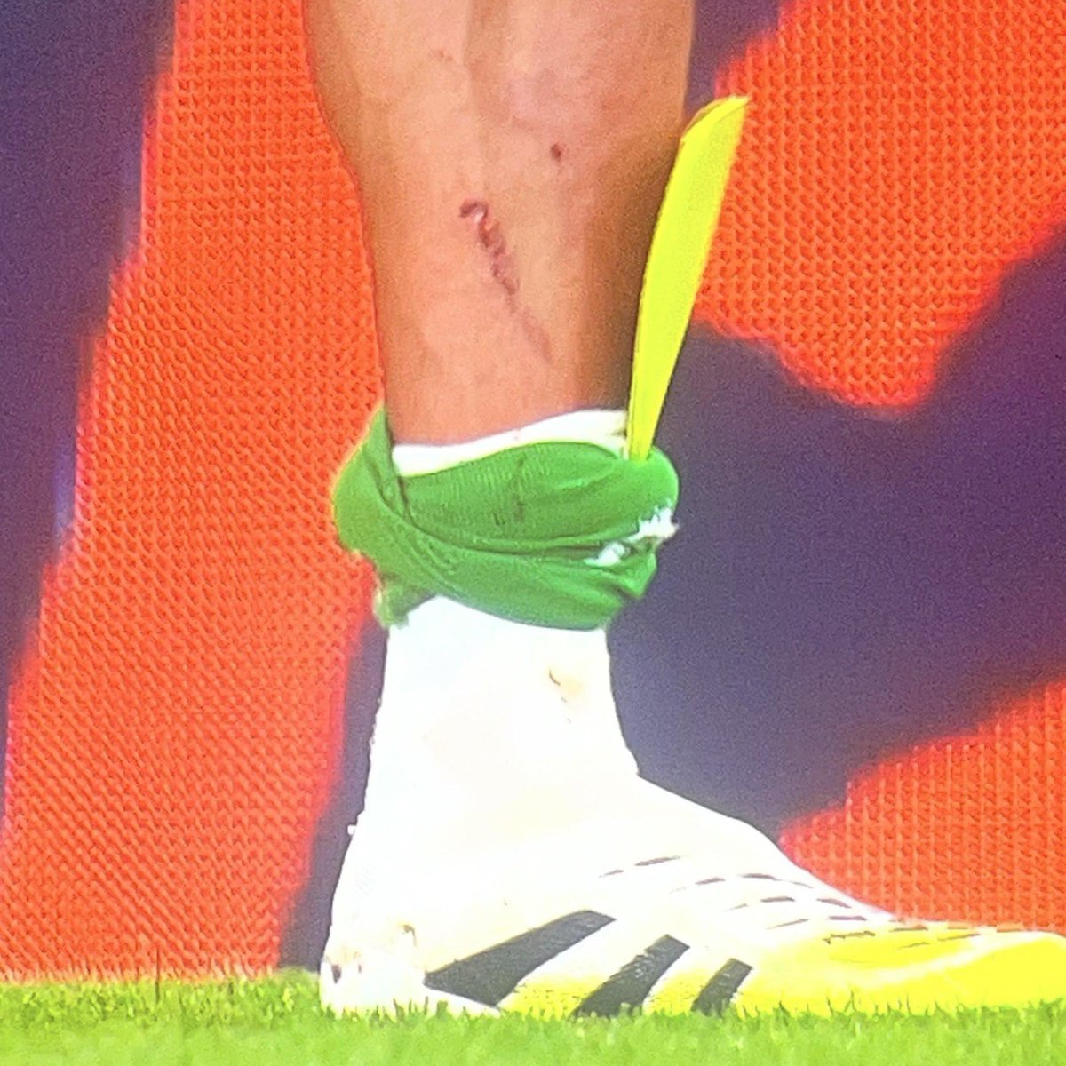 ToonDeepDive tweet media