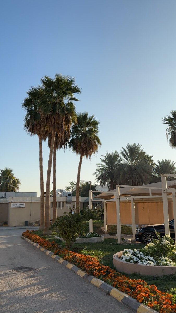 Muhanad ALsharari tweet media