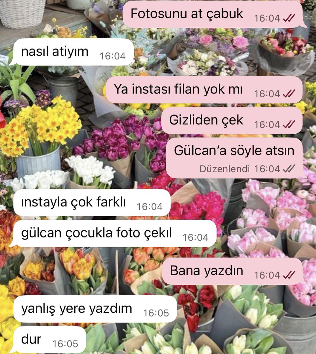 Şu beraber yola çıktığım insanlara bakın ya