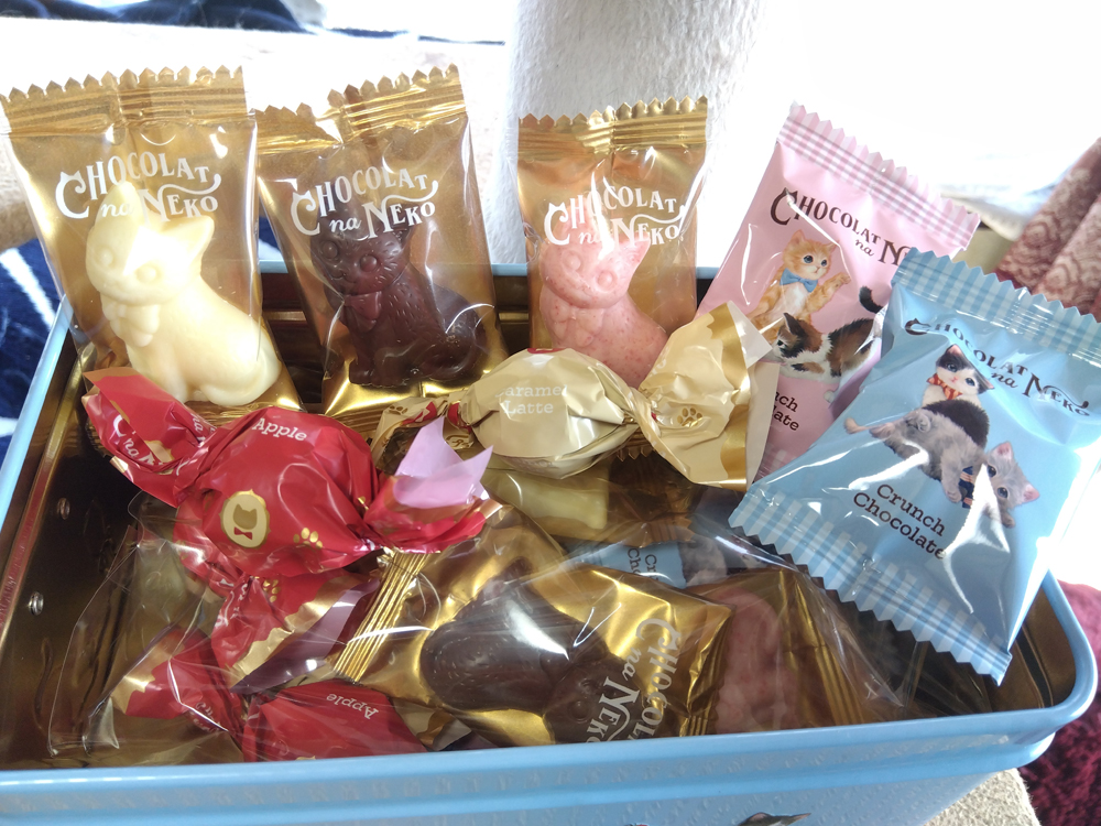 KusunoTohiro's tweet photo. 昨日、三角ちゃんママから
荷物が届きまして
すんごいかわいいのを
頂いちゃいましたよ！

全部の面に、違ったねこさんが
立体的に描かれています。

中身は、いろんな味の
チョコレートと飴ちゃんです。
どうもありがとうございますー！
https://t.co/J5zEukL8tW https://t.co/w6DNAXyOF0