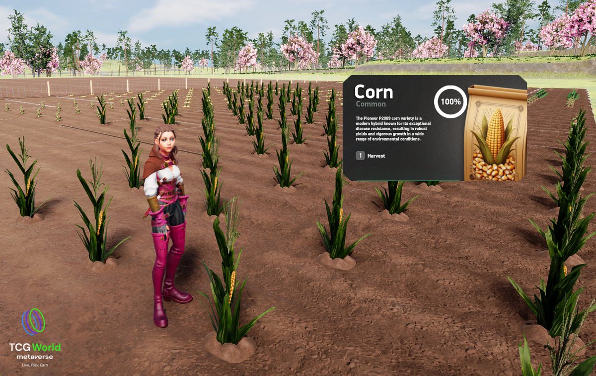 PJ Krypto tweet media