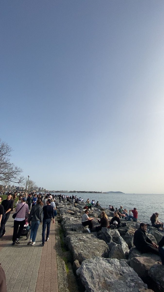 mert📈💰 tweet media