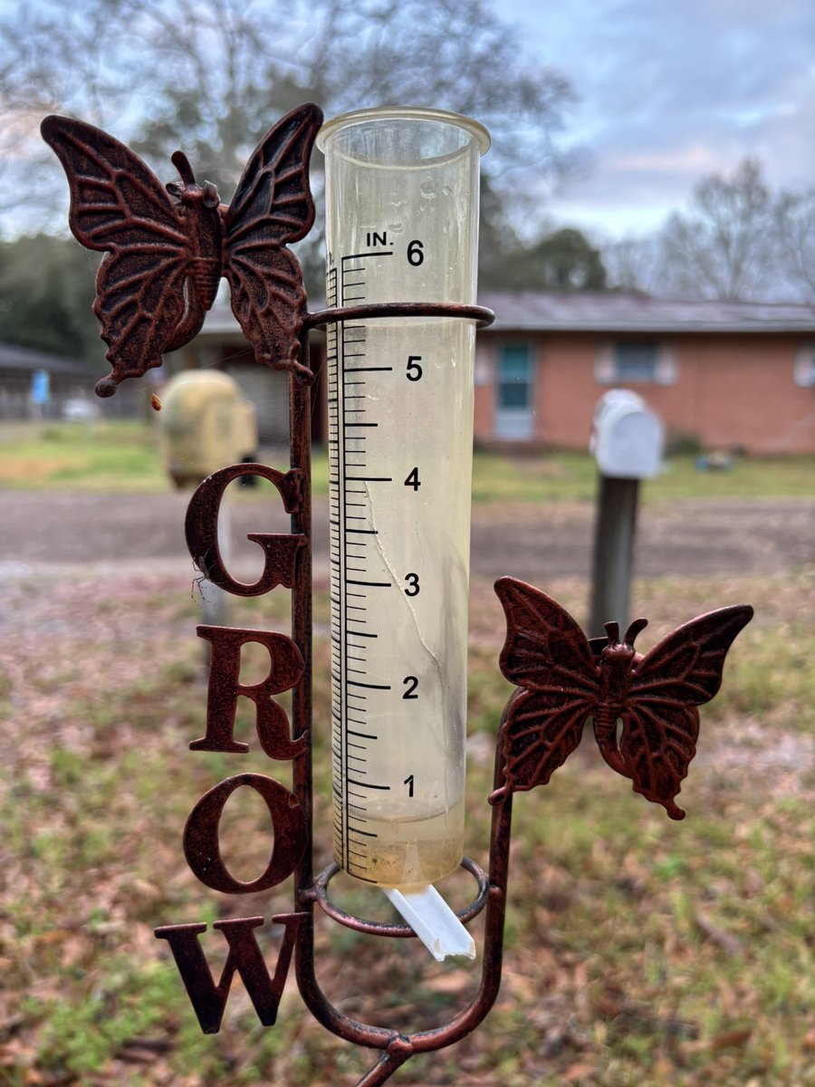 kajunjon's tweet photo. Had some tornado warnings and strong winds last night. But everything looks ok so far this morning in #Mamou Got about 3/4” https://t.co/3pISwPgAPg