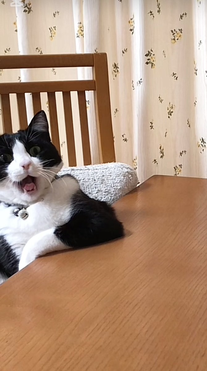 killrvr's tweet image. Sebenernya stress.