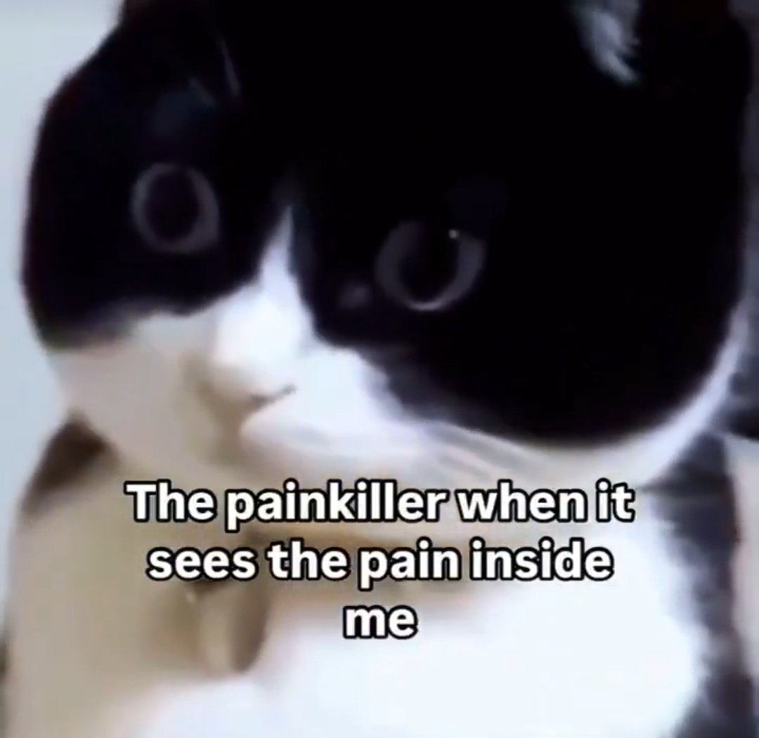 killrvr's tweet image. Sebenernya stress.