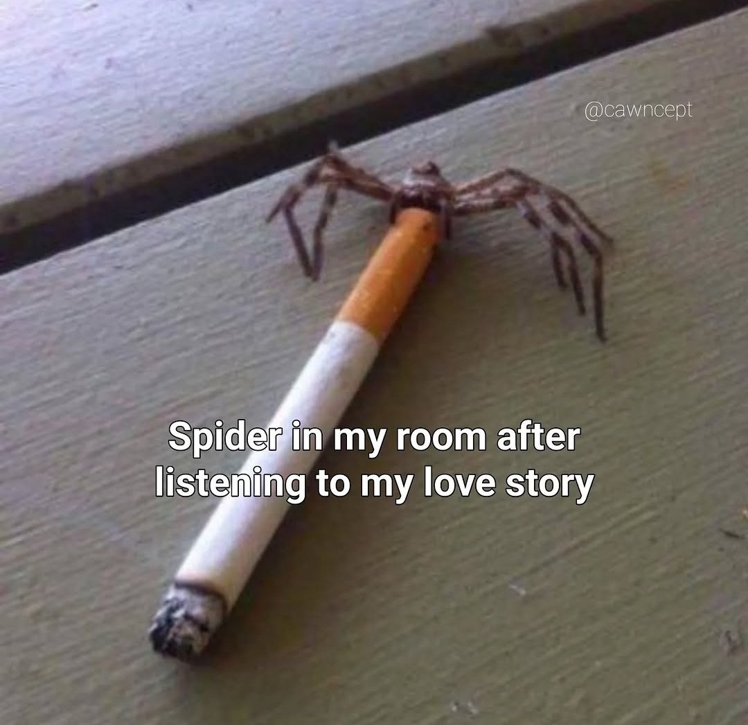 killrvr's tweet image. Sebenernya stress.