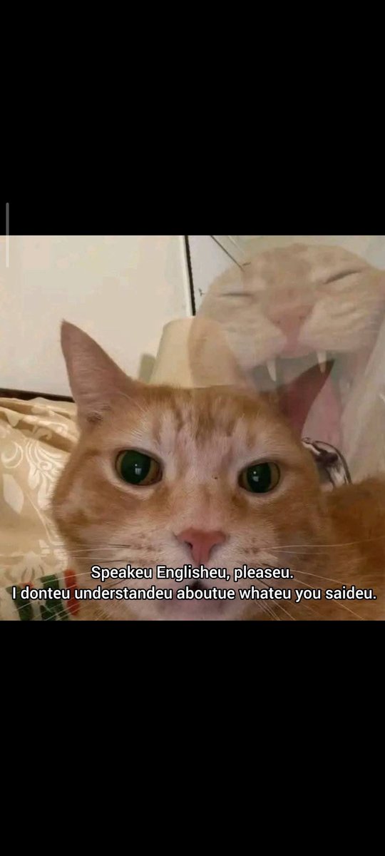 bulub bulub tweet media